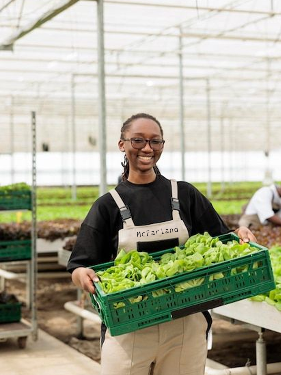 Agricultural Distribution Project